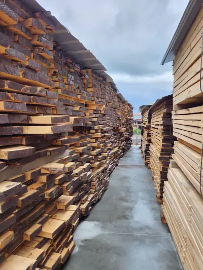 Дървен Свят Timber World