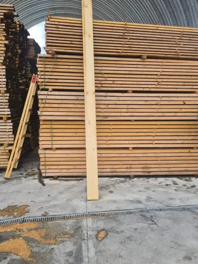 Дървен Свят Timber World