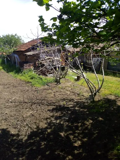 Guest House KOLESHEVI
