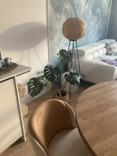 SIMVOLIKA Interiori