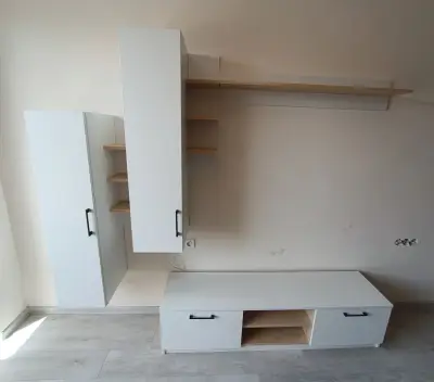 Ant Studio