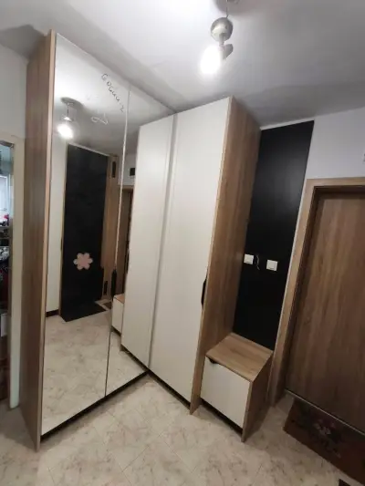Ant Studio