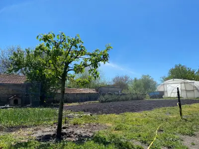 Храна от село