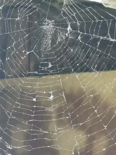 Ориндж маркет
