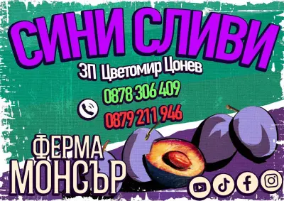 Ферма Монсър