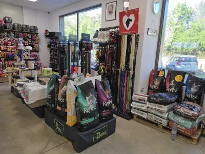 PET HUB