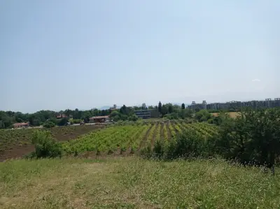 Поморийска куха гробница (Thracian Tumulus Pomorie)