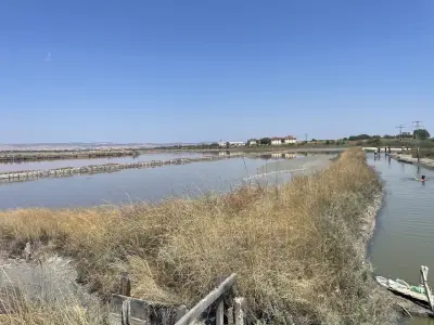 Zoutbad en modderbad