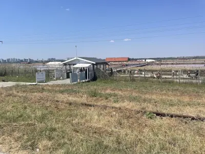 Zoutbad en modderbad