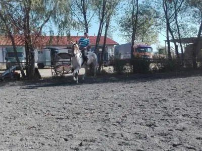 Конна база Васил Левски