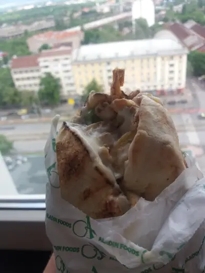 Aladin Foods