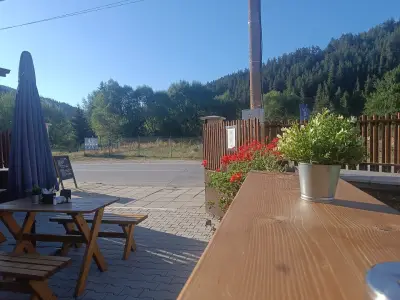 ПЛАНИНСКА скара