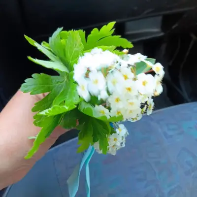 DARMONEV FOOD