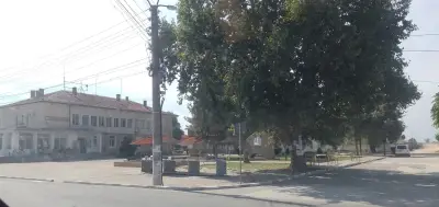 ОСНОВНО УЧИЛИЩЕ "ДИМИТЪР БЛАГОЕВ", село Неделево