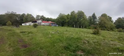 Ски писта „Горското“, Узана