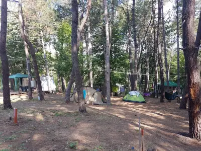 Зона Кракен