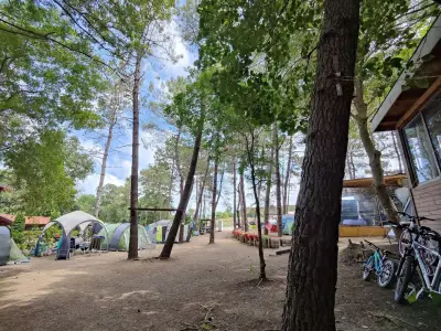 Зона Кракен