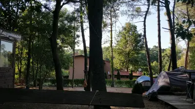 Зона Кракен