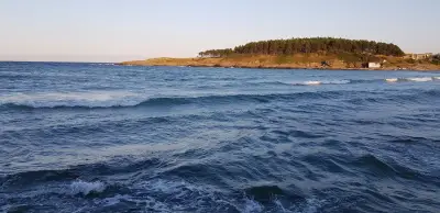 Зона Кракен