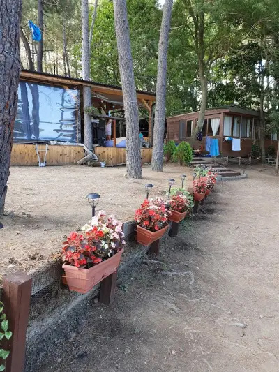 Зона Кракен