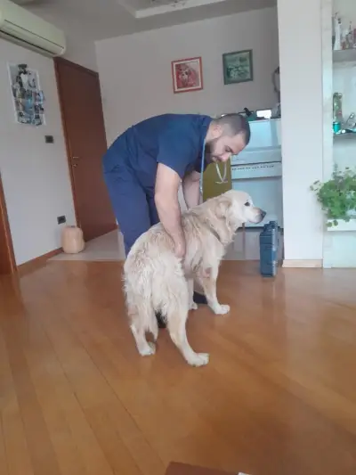 HomeVet