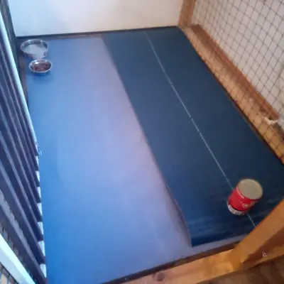 Pet Residence