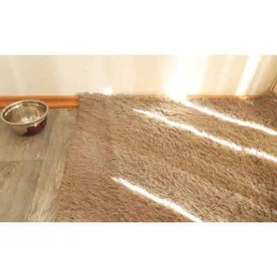 Pet Residence