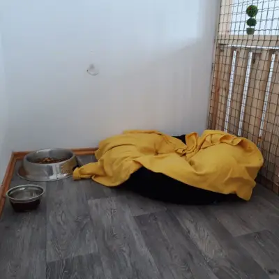 Pet Residence