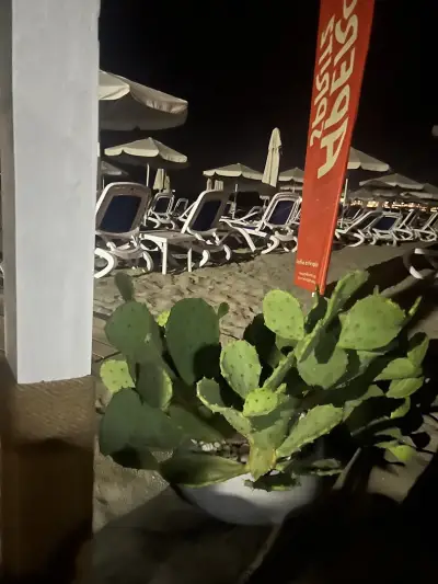 Black Mamba Beach Bar