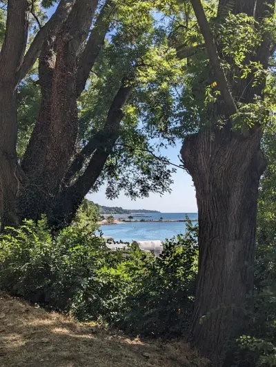 Морска градина Варна