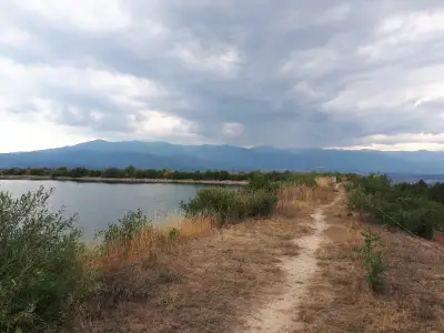 яз. Белизмата