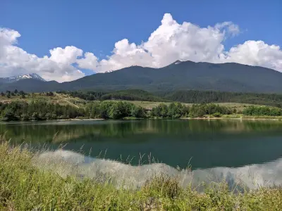 яз. Белизмата