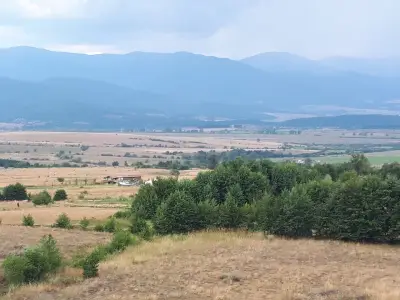 яз. Белизмата
