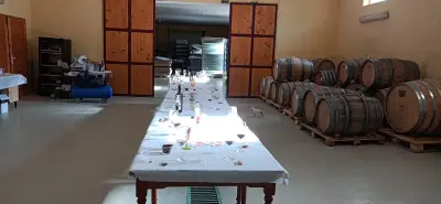 Винарска изба Боровица