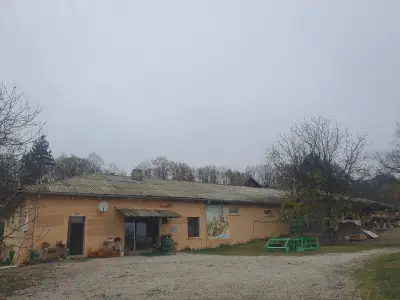 Винарска изба Боровица