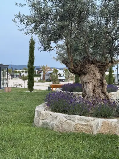 Terme di Hissar Camping