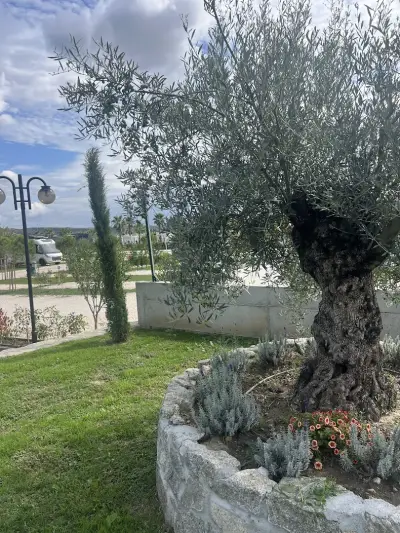 Terme di Hissar Camping