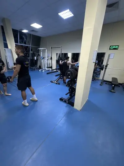 GYM PALACE