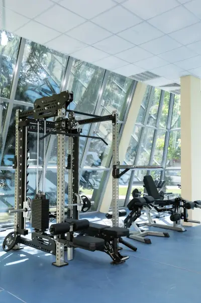 GYM PALACE