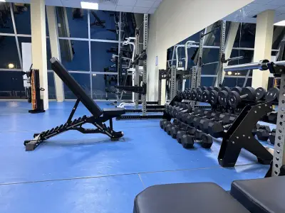 GYM PALACE