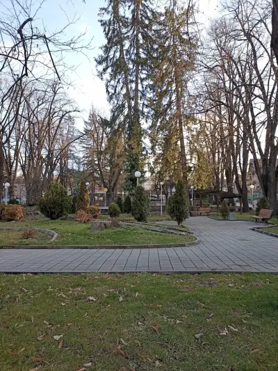 Боров парк