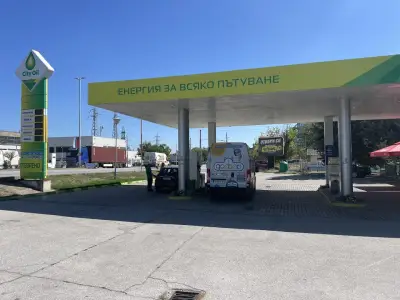 City Oil