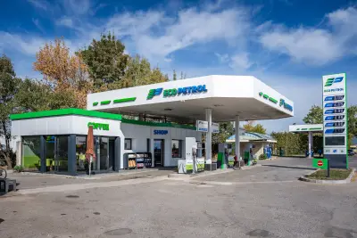 Eco Petrol 4 Елин Пелин