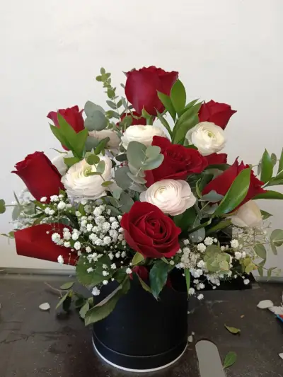 Daria Flowers