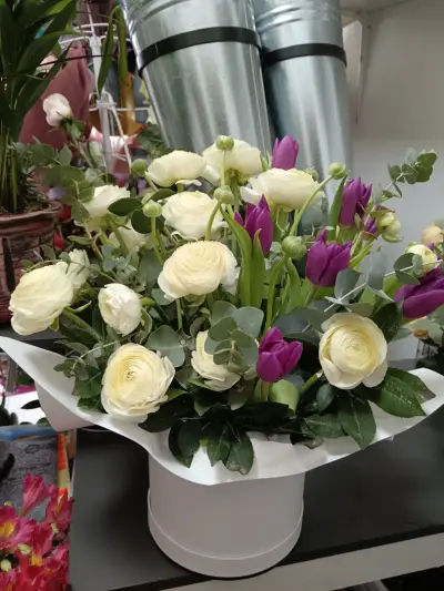 Daria Flowers