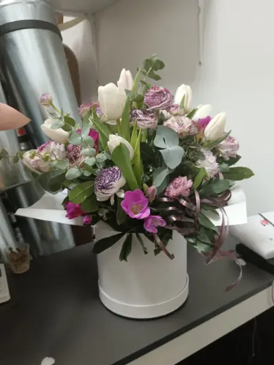 Daria Flowers
