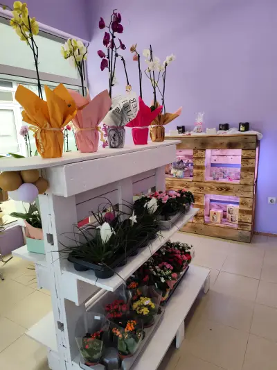Цветарски магазин "Bloomsy Flowers"