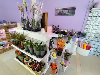 Цветарски магазин "Bloomsy Flowers"
