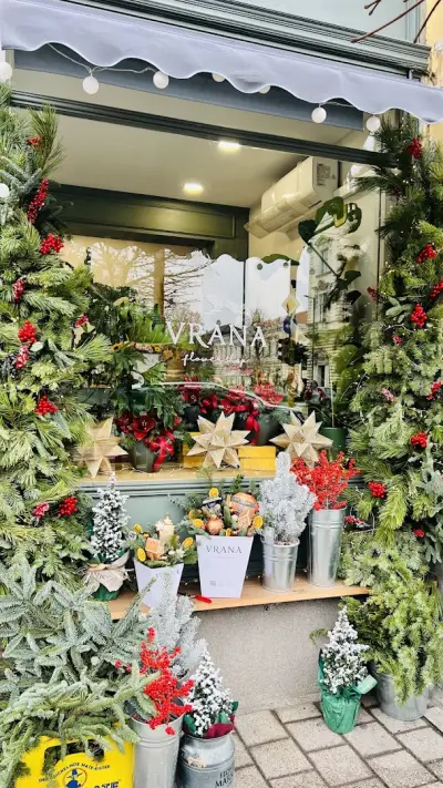 Цветарски магазин "Врана" (Vrana flowershop & bar)