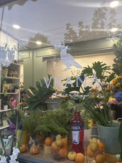 Цветарски магазин "Врана" (Vrana flowershop & bar)